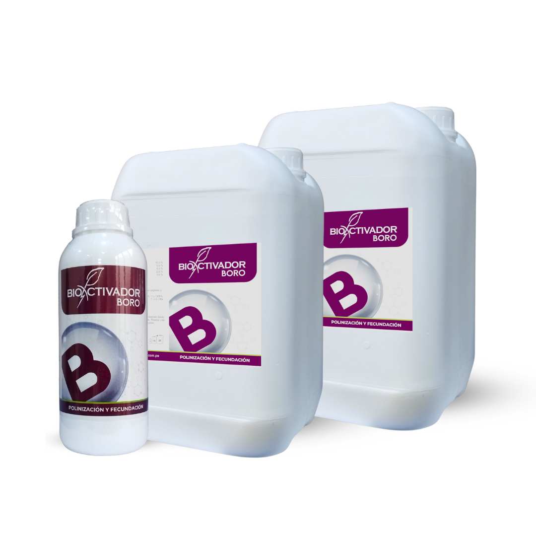 Envases de Bioactivador Boro, fertilizante foliar diseñado para prevenir la deficiencia de boro, fortalecer el tubo polínico y evitar el aborto floral en las plantas.