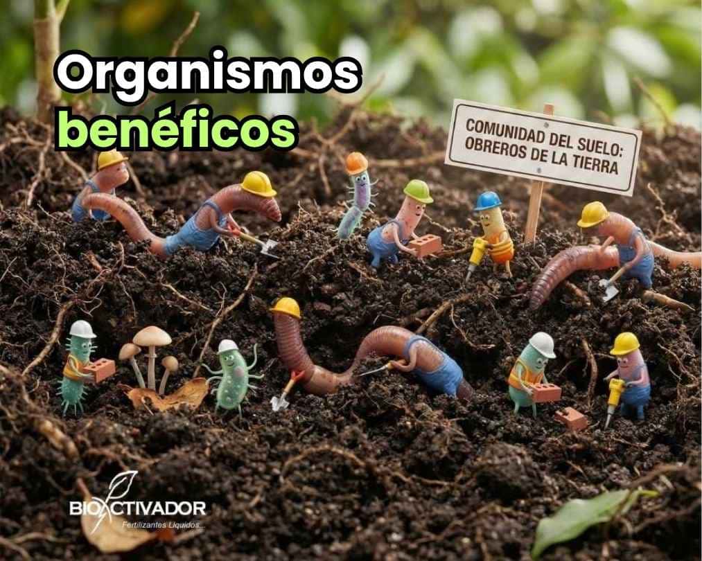 Ilustración metafórica de microorganismos benéficos trabajando como obreros de la tierra en un suelo agrícola. Lombrices, bacterias y hongos con cascos de construcción excavando y estructurando la tierra, representando la recuperación de la fertilidad biológica.