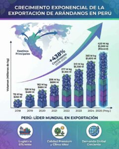 Gráfico estadístico del crecimiento exponencial de la exportación de arándanos en Perú (2018-2025), mostrando un aumento del 438% y proyectando un récord de 420 millones de kg para 2025.