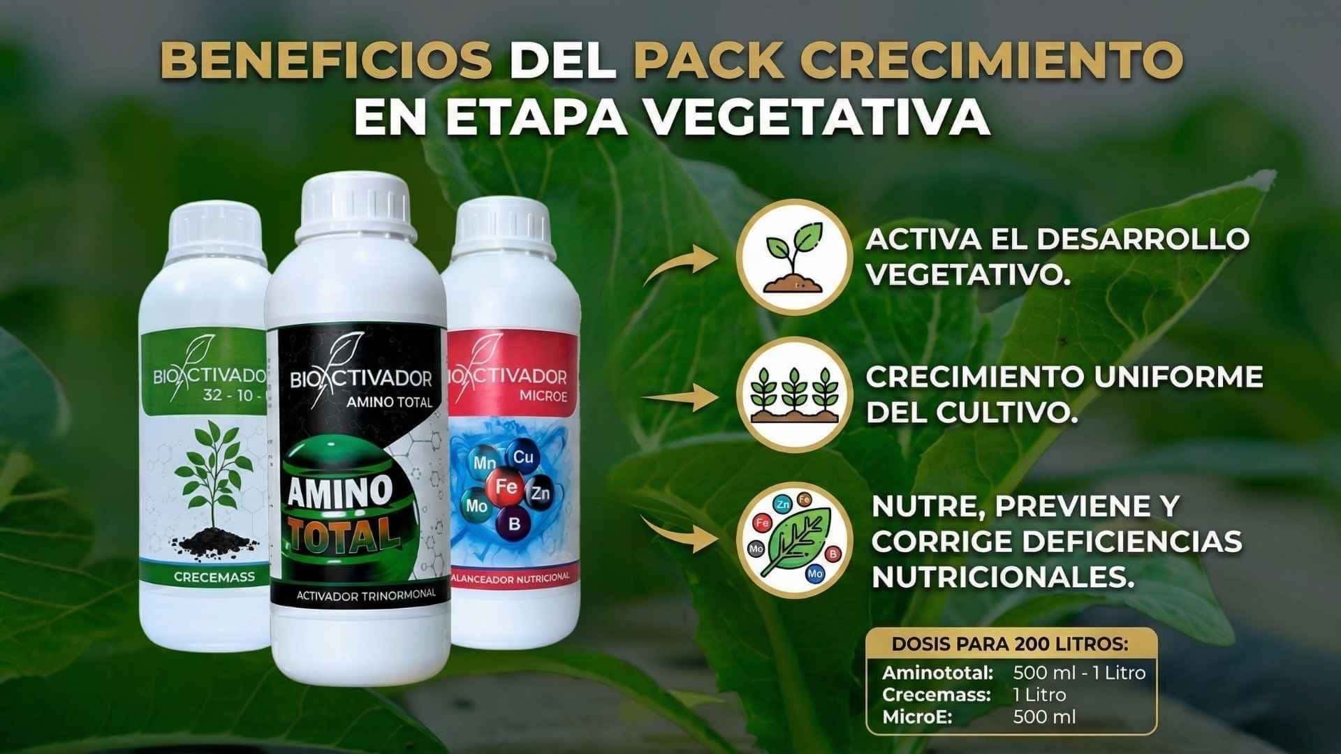 Pack Crecimiento Bioactivador: Kit de fertilizantes foliares (Crecemass, Amino Total y MicroE) diseñado para activar el desarrollo vegetativo, lograr un crecimiento uniforme y corregir deficiencias nutricionales.