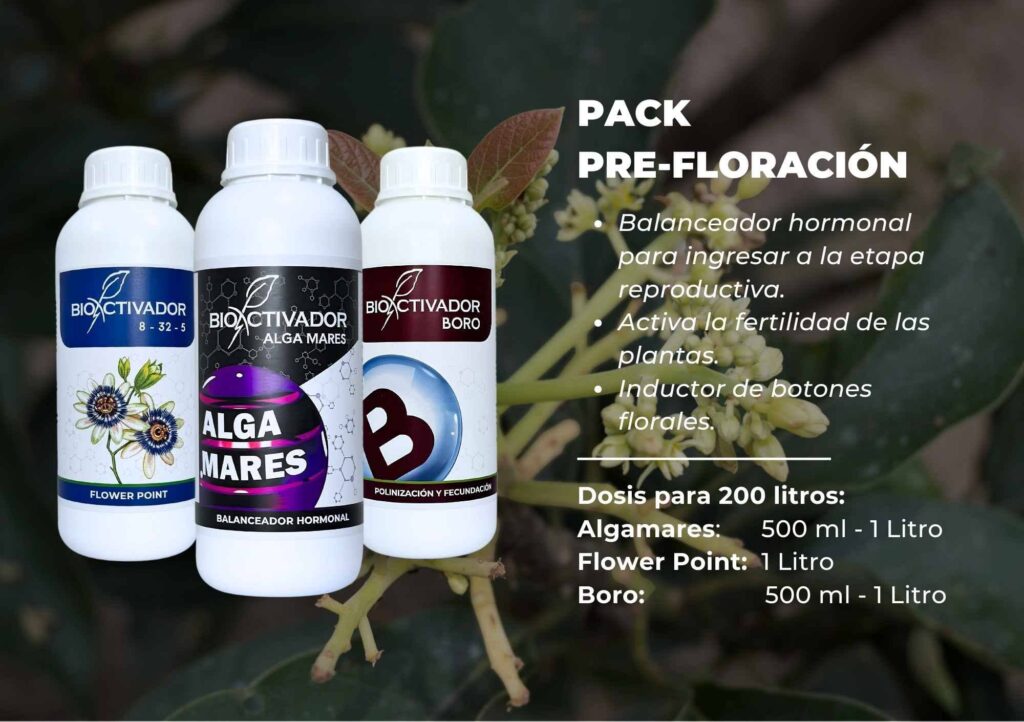 Pack Pre-Floración Bioactivador: Kit de fertilizantes foliares que incluye Algamares (algas), Flower Point (fósforo) y Boro, diseñado como inductor de botones florales y activador de la fertilidad.