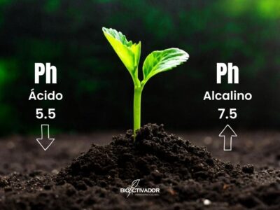 Plántula creciendo en tierra fértil ilustrando la escala de pH del suelo: ácido 5.5 y alcalino 7.5 para la nutrición vegetal