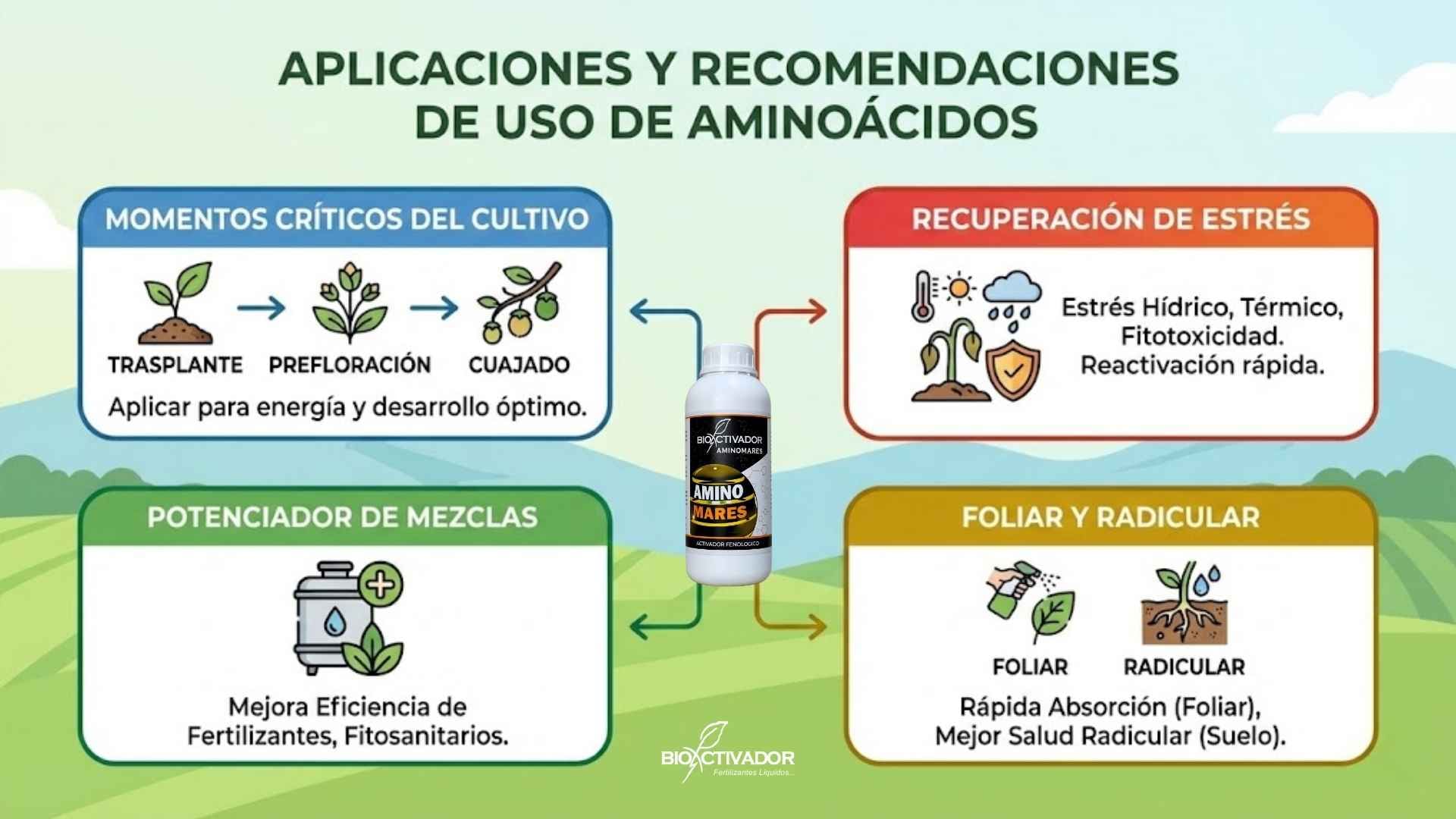 Infografía de recomendaciones de uso para Aminoácidos en agricultura: aplicación en momentos críticos (trasplante/floración), recuperación de estrés, uso como potenciador de mezclas y aplicación vía foliar y radicular.
