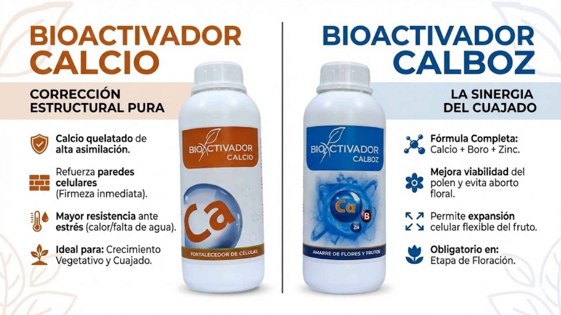 Comparativa de productos fertilizantes: Bioactivador Calcio (Calcio quelatado para estructura) versus Bioactivador Calboz (mezcla de Calcio, Boro y Zinc para cuajado), detallando sus usos específicos por etapa fenológica.