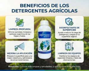 Infografía de los 4 usos del Detergente Agrícola (Deter Eco): Limpieza profunda de melaza y fumagina en hojas, desinfección de superficies, mejora de cobertura y mantenimiento de equipos de fumigación.