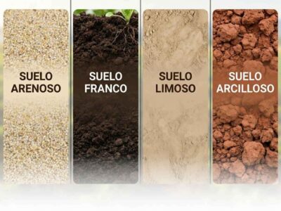 Primer plano de las texturas de los cuatro suelos agrícolas principales: Suelo Arenoso (granos beige sueltos), Suelo Franco (tierra negra grumosa), Suelo Limoso (polvo fino marrón claro) y Suelo Arcilloso (terrones rojizos compactos).