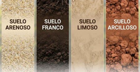Primer plano de las texturas de los cuatro suelos agrícolas principales: Suelo Arenoso (granos beige sueltos), Suelo Franco (tierra negra grumosa), Suelo Limoso (polvo fino marrón claro) y Suelo Arcilloso (terrones rojizos compactos).