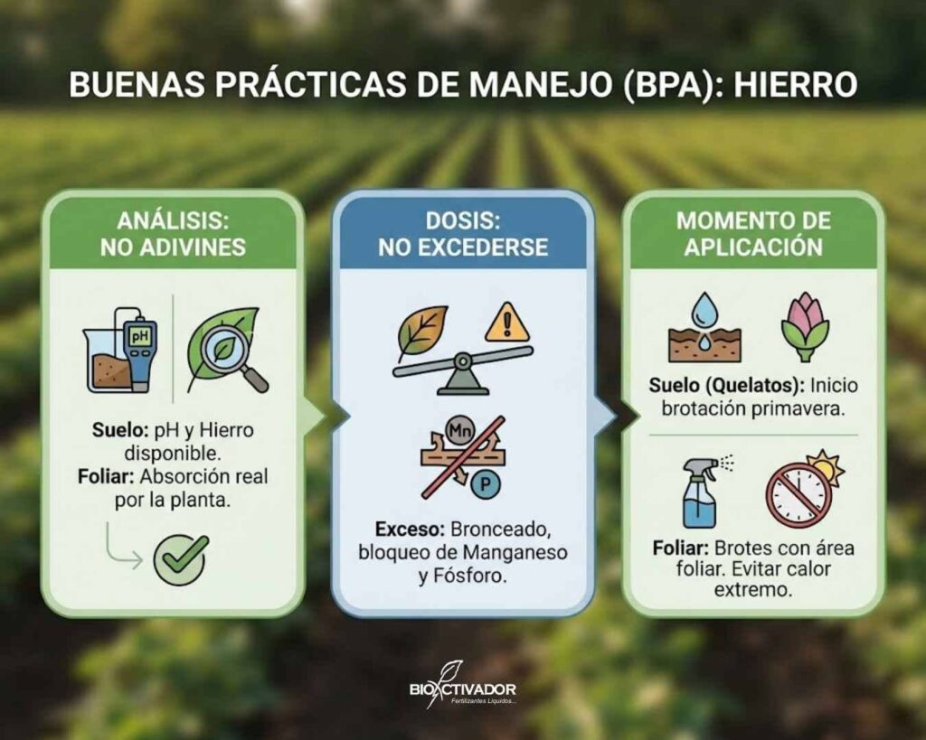 Infografía de Buenas Prácticas de Manejo (BPA) para la fertilización con Hierro: importancia del análisis de suelo previo, control de dosis para evitar antagonismos con Fósforo/Manganeso y elección del momento de aplicación óptimo (brotación).