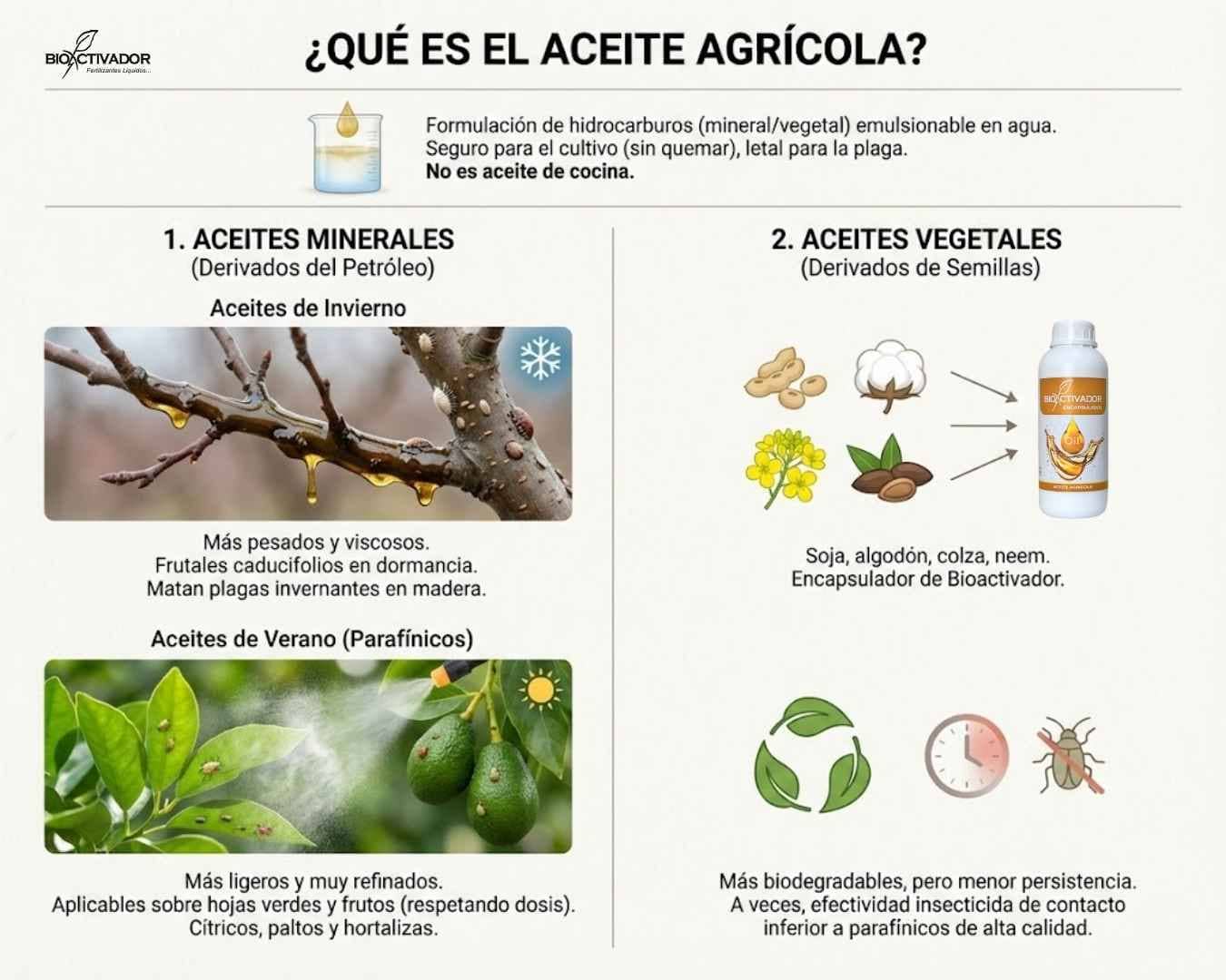 Infografía comparativa de tipos de aceite agrícola: Minerales (derivados de petróleo para invierno/verano) vs Vegetales (semillas de soja, algodón, neem). Detalla biodegradabilidad y toxicidad.