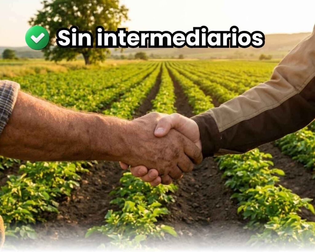 Primer plano de apretón de manos entre agricultor y representante de fábrica sobre un campo de cultivo verde. Simboliza la compra directa "Sin Intermediarios" y el comercio justo de foliares.