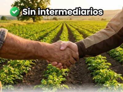Primer plano de apretón de manos entre agricultor y representante de fábrica sobre un campo de cultivo verde. Simboliza la compra directa "Sin Intermediarios" y el comercio justo de foliares.