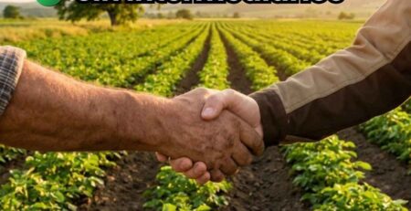 Primer plano de apretón de manos entre agricultor y representante de fábrica sobre un campo de cultivo verde. Simboliza la compra directa "Sin Intermediarios" y el comercio justo de foliares.
