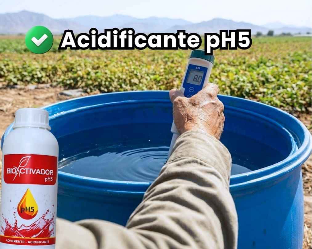 Agricultor realizando medición de pH en tanque de agua con potenciómetro digital. Portada del artículo sobre el uso del acidificante agrícola Bioactivador pH5 para corregir aguas alcalinas.