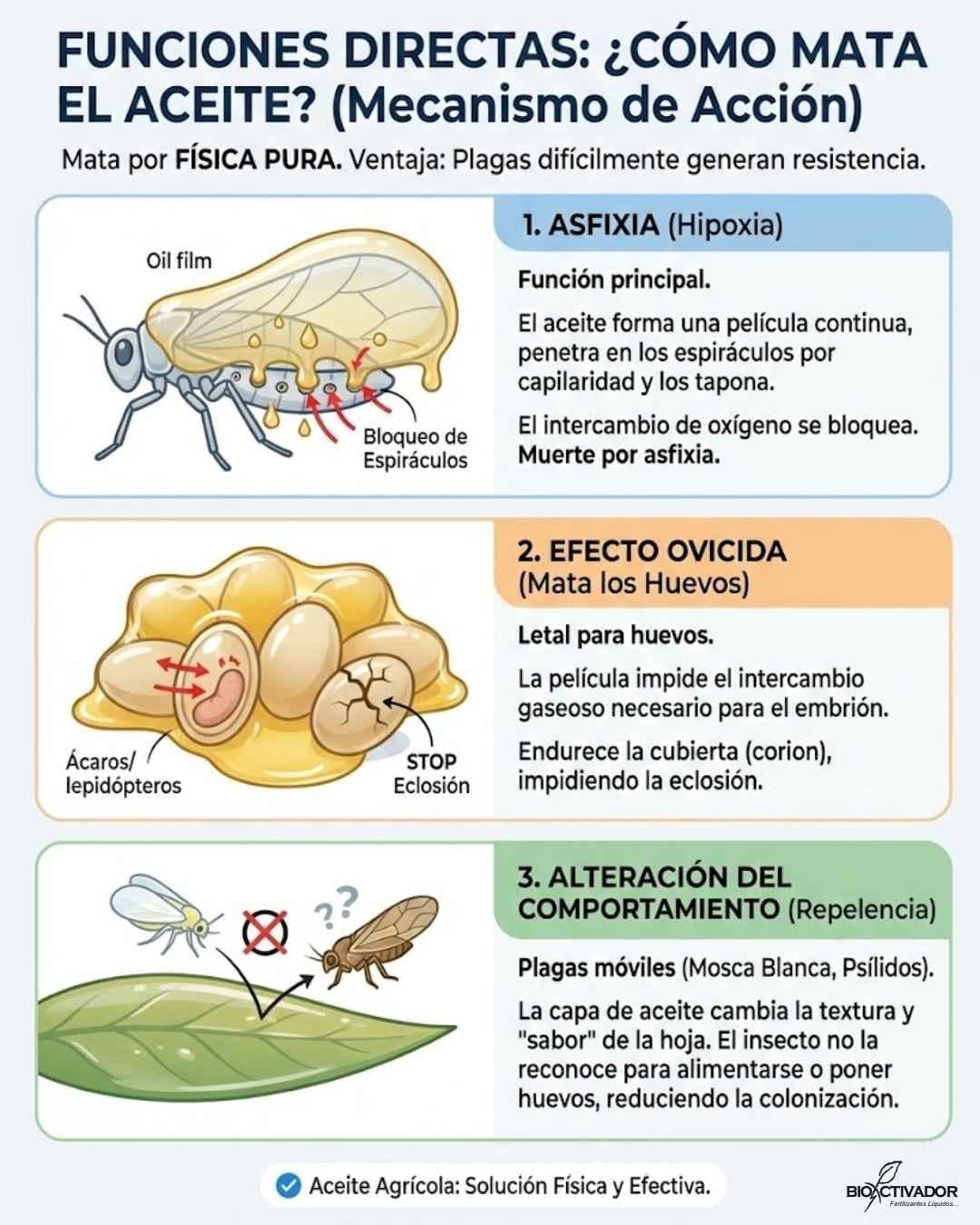 Infografía de los 3 mecanismos de acción del aceite agrícola: 1. Asfixia (Hipoxia) por bloqueo de espiráculos, 2. Efecto Ovicida en huevos y 3. Repelencia o alteración del comportamiento.