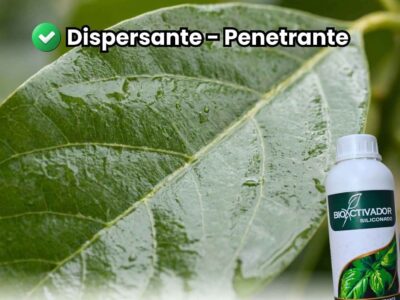 Hoja de cultivo con cobertura total y uniforme (película líquida) tras aplicar Trisiloxano Siliconado. Demostración visual del efecto dispersante y penetrante que elimina la formación de gotas esféricas.