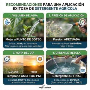 Infografía de recomendaciones para aplicar detergente agrícola: 1. Mojar a punto de goteo (lavado), 2. Presión adecuada sin dañar hojas, 3. Aplicar sin sol fuerte (AM/PM) y 4. Añadir al final de la mezcla para evitar espuma.