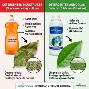 Infografía comparativa: Detergente Industrial (Lavavajillas con Sodio) que quema hojas vs Detergente Agrícola (Jabón Potásico) que limpia y nutre. Muestra daños por fitotoxicidad y destrucción de cutícula.