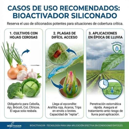 Infografía de usos del Trisiloxano Siliconado: 1. Cultivos de hojas cerosas (Cebolla, Ajo, Brócoli), 2. Control de plagas escondidas (Arañita roja, Trips) y 3. Resistencia al lavado por lluvia (penetración rápida).