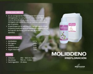 Ficha técnica fertilizante foliar Molibdeno 8% Prefloración: Composición con Algas Marinas, Fósforo y Aminoácidos, y dosis por cilindro (200L) y hectárea.