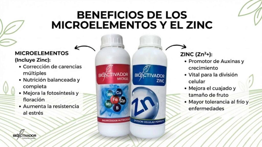 Comparativa de beneficios: Bioactivador Micros para nutrición general vs. Bioactivador Zinc para síntesis de auxinas y cuajado.