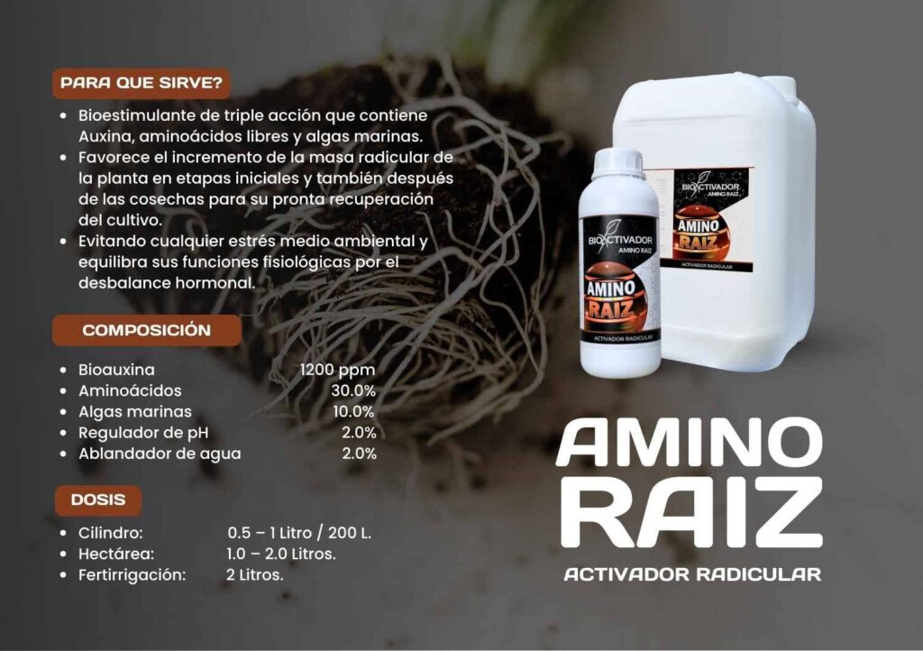 Ficha técnica del bioestimulante enraizante Amino Raiz. Composición de triple acción: Bioauxinas (1200 ppm), aminoácidos libres (30%) y extracto de algas marinas (10%), con regulador de pH y ablandador integrados.