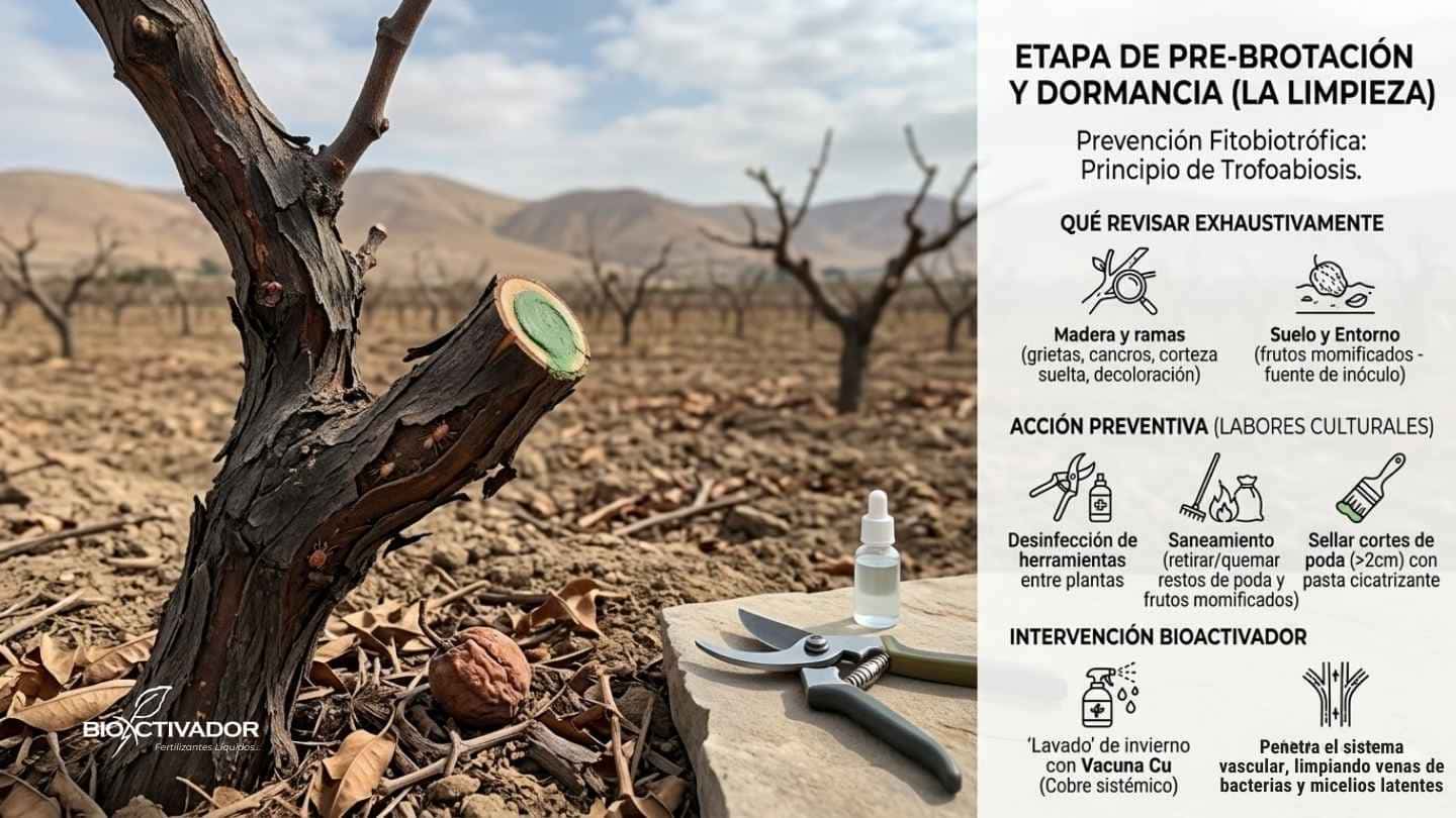 Labores culturales de invierno en la etapa de pre-brotación y dormancia. Desinfección de herramientas, sellado de cortes de poda y lavado de invierno con cobre sistémico.