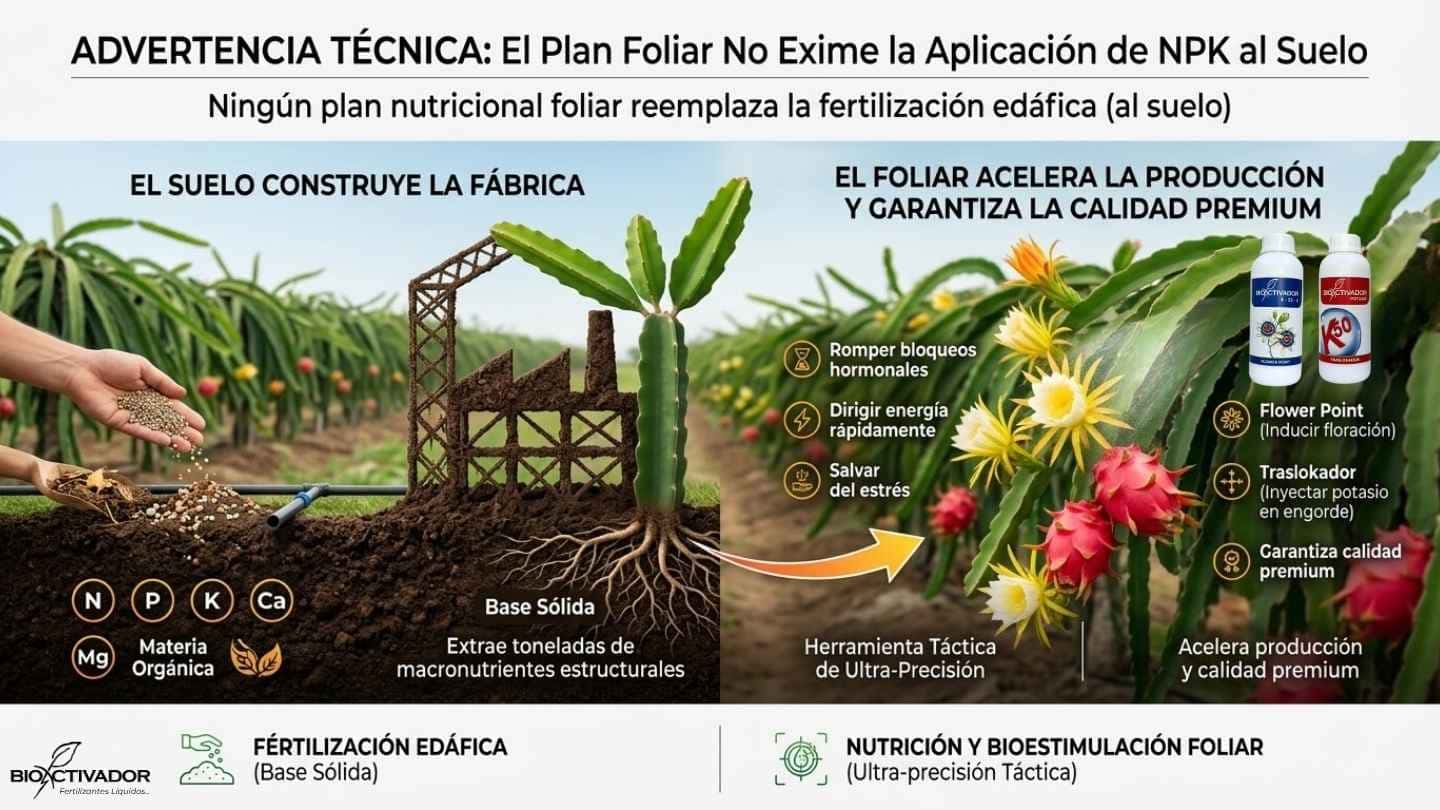 Infografía técnica advirtiendo que la nutrición foliar no exime la aplicación de NPK al suelo. Muestra el suelo como la fábrica de base sólida y el foliar como herramienta táctica de calidad premium.