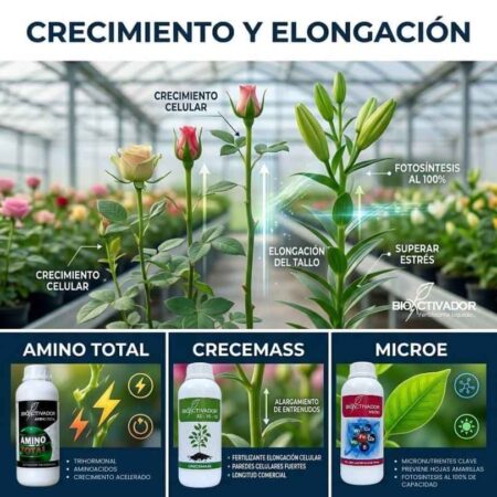 Fertilizantes para crecimiento y elongación de rosas: Amino Total (crecimiento acelerado), Crecemass (alargamiento de entrenudos) y MicroE (fotosíntesis 100%).