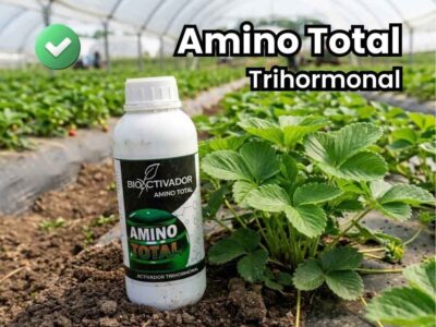 Portada del bioestimulante agrícola Amino Total Trihormonal. Botella del producto en campo junto a una planta de fresa sana y con máximo vigor vegetativo gracias al aporte de auxinas, citoquininas y giberelinas.