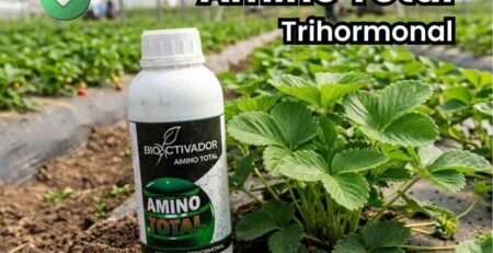 Portada del bioestimulante agrícola Amino Total Trihormonal. Botella del producto en campo junto a una planta de fresa sana y con máximo vigor vegetativo gracias al aporte de auxinas, citoquininas y giberelinas.