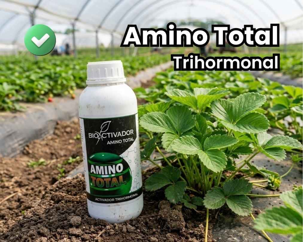 Portada del bioestimulante agrícola Amino Total Trihormonal. Botella del producto en campo junto a una planta de fresa sana y con máximo vigor vegetativo gracias al aporte de auxinas, citoquininas y giberelinas.