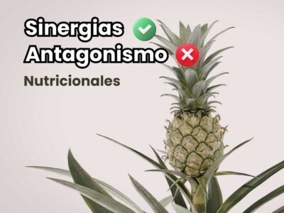 Portada de guía agrícola sobre sinergia y antagonismo nutricional. Cultivo de piña (ananá) sano mostrando el impacto del equilibrio de nutrientes para evitar deficiencias inducidas.