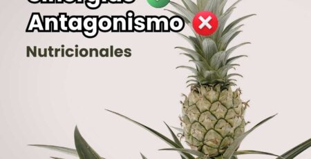 Portada de guía agrícola sobre sinergia y antagonismo nutricional. Cultivo de piña (ananá) sano mostrando el impacto del equilibrio de nutrientes para evitar deficiencias inducidas.